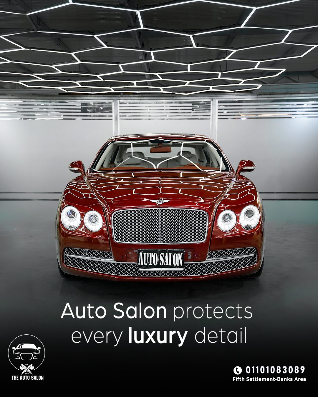 Selected artwork from the Auto Salon project